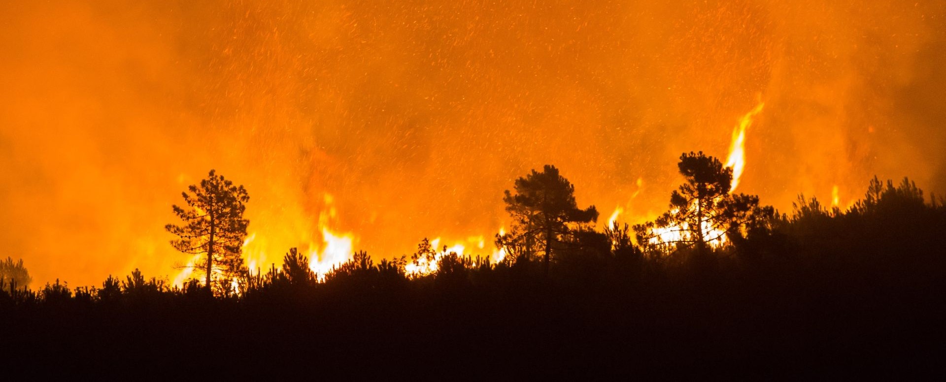 VIDEO: Preko vikenda u sjevernoj Španjolskoj gorjelo oko 130 divljih požara