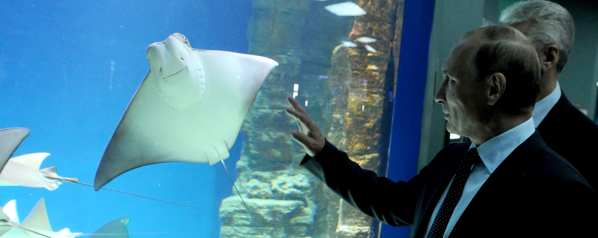 NOVA INVESTICIJA Vladimir Putin posjetio je novootvoreni akvarijum u Moskvi