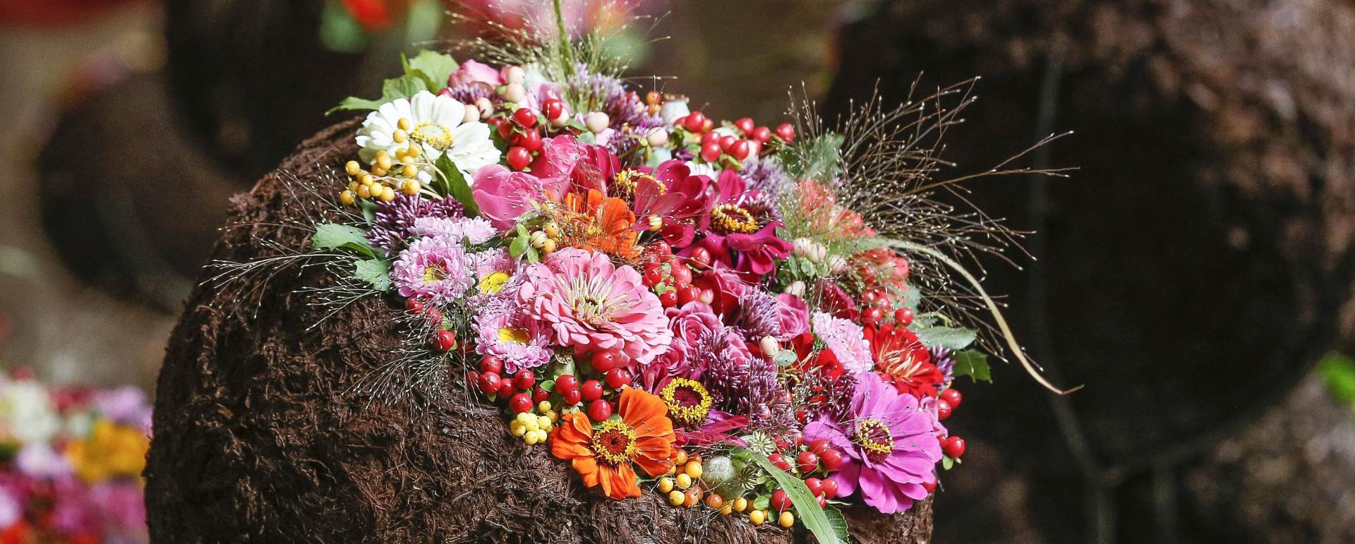 ZARAŽENO NAMETNICIMA: Rusija najavljuje strožu kontrolu uvoza nizozemskog cvijeća