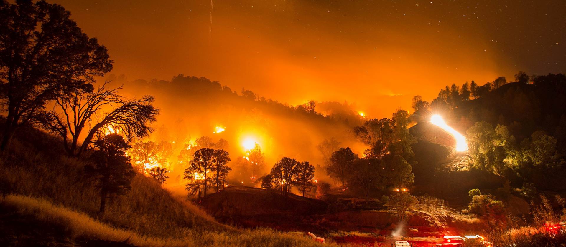 VIDEO: Veliki šumski požari bijesne na jugu SAD-a