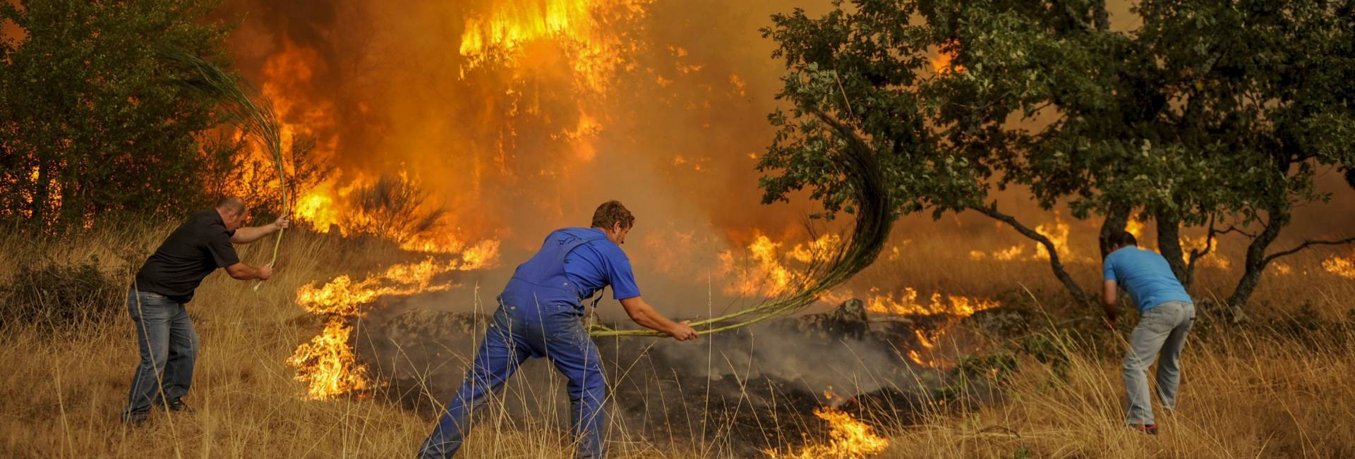 BORBA S VATROM: U požaru u Španjolskoj opožareno 1000 hektara šume