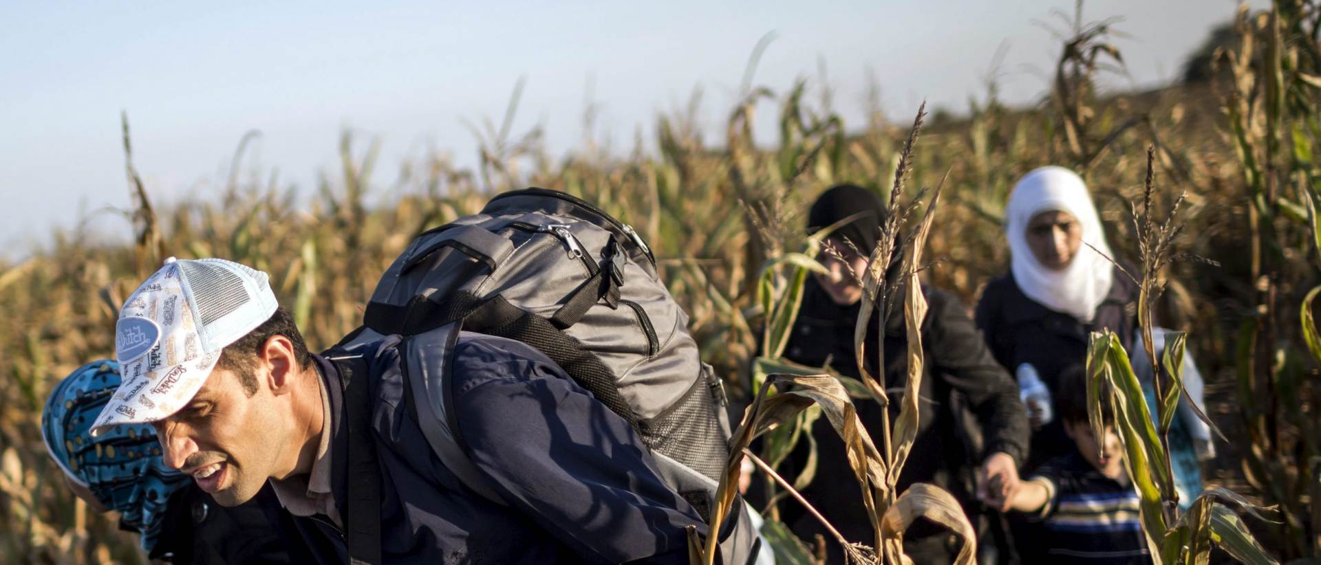 epa04928345 Migrants walk through a plantation to avoid checkpoints along the railway tracks connecting Horgos and Szeged, near Roszke, near the border between Hungary and Serbia, 12 September 2015. Hungarian Prime Minister Viktor Orban warned 11 September that anyone trespassing his country's border with Serbia starting next week would be 'immediately arrested,' and slammed Greece for not doing enough to protect its frontiers.  EPA/BALAZS MOHAI HUNGARY OUT