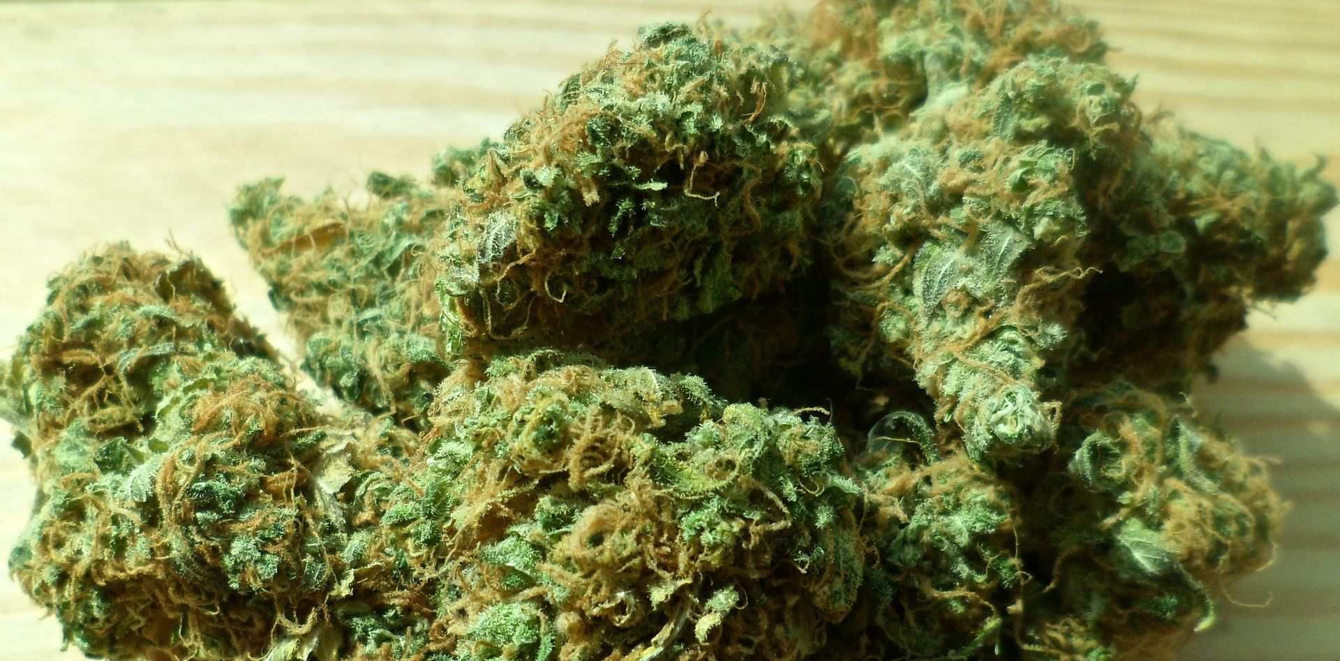 REFERENDUM Ohio rekao ‘ne’ legalizaciji marihuane