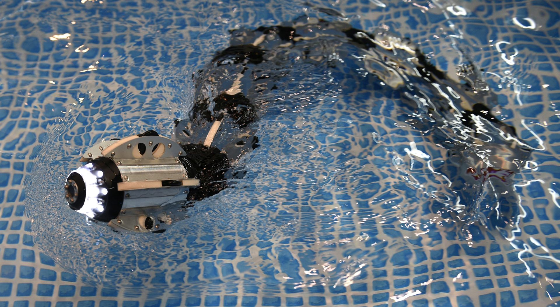 Njemačka: Podvodne robote kontroliraju ronioci svojim pokretima