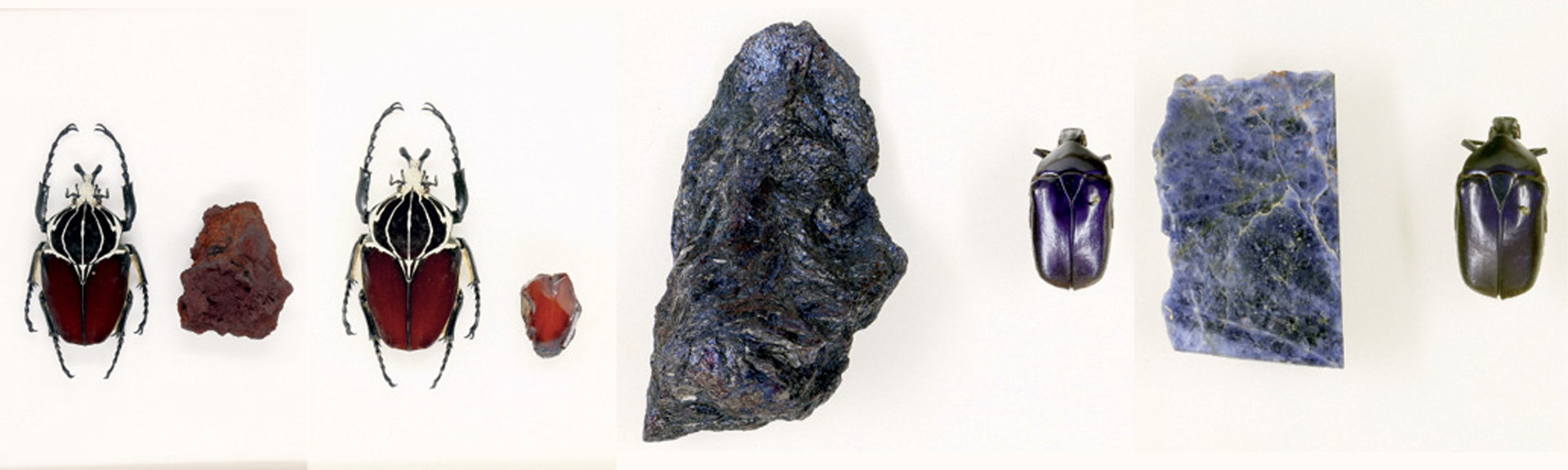 Egzotična zbirka kukaca i kamenih minerala u Prirodoslovnom muzeju