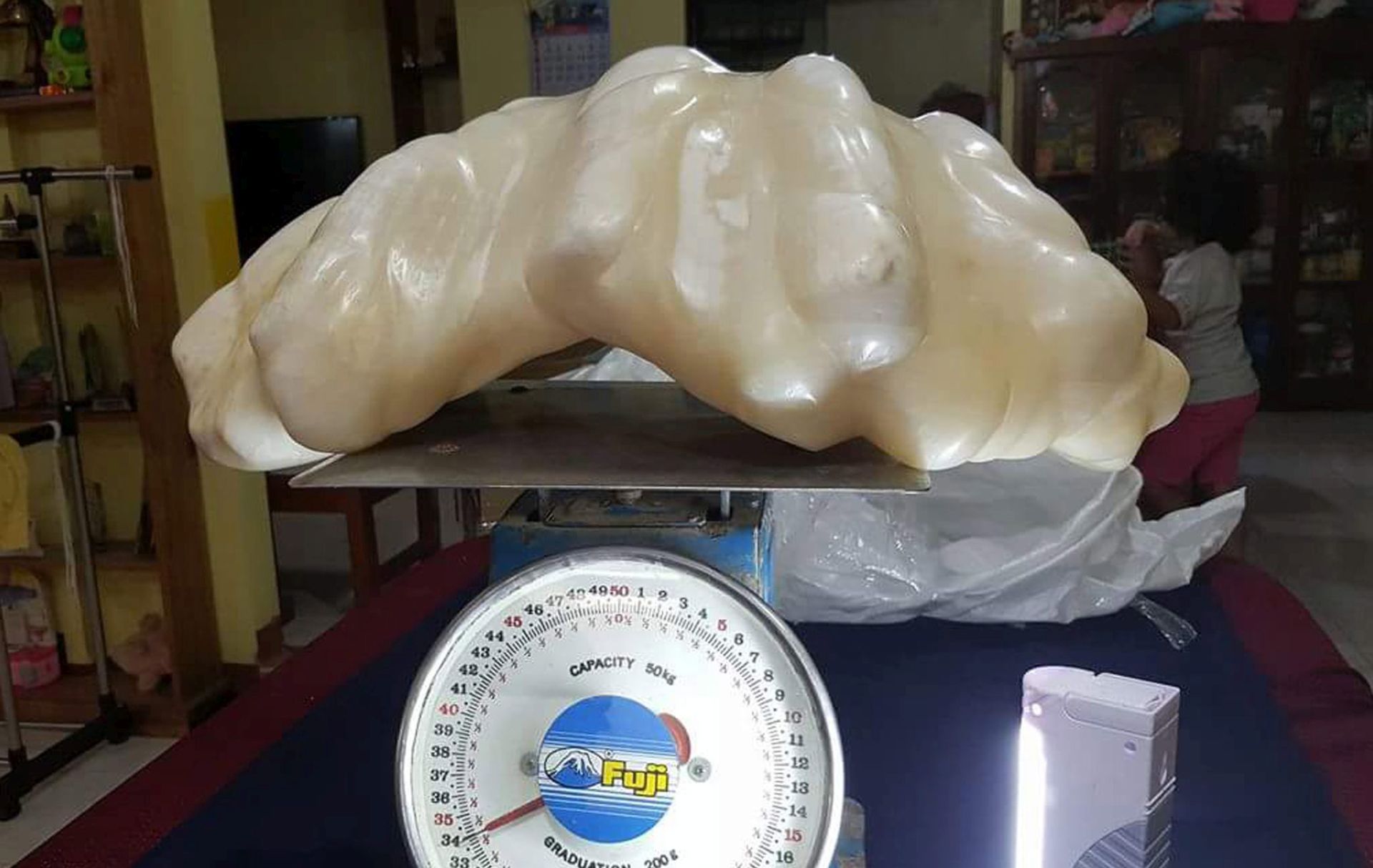 FILIPINI Pronađen najveći biser na svijetu, teži čak 34 kilograma