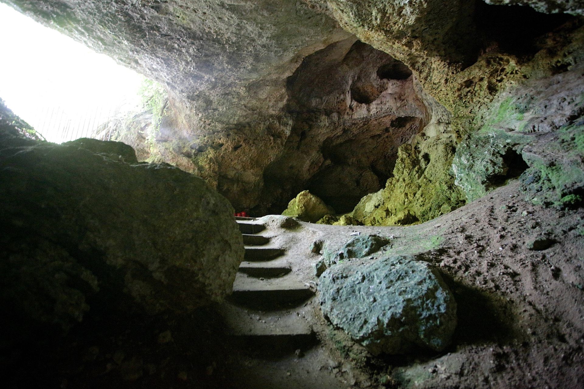 SIMPOZIJ: Podzemna biološka raznolikost Dinarskog krša nedovoljno istražena
