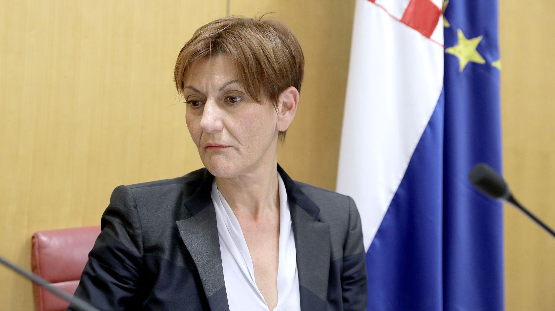 POVJERENSTVO Postoji potencijalni sukob interesa u slučaju Martine Dalić