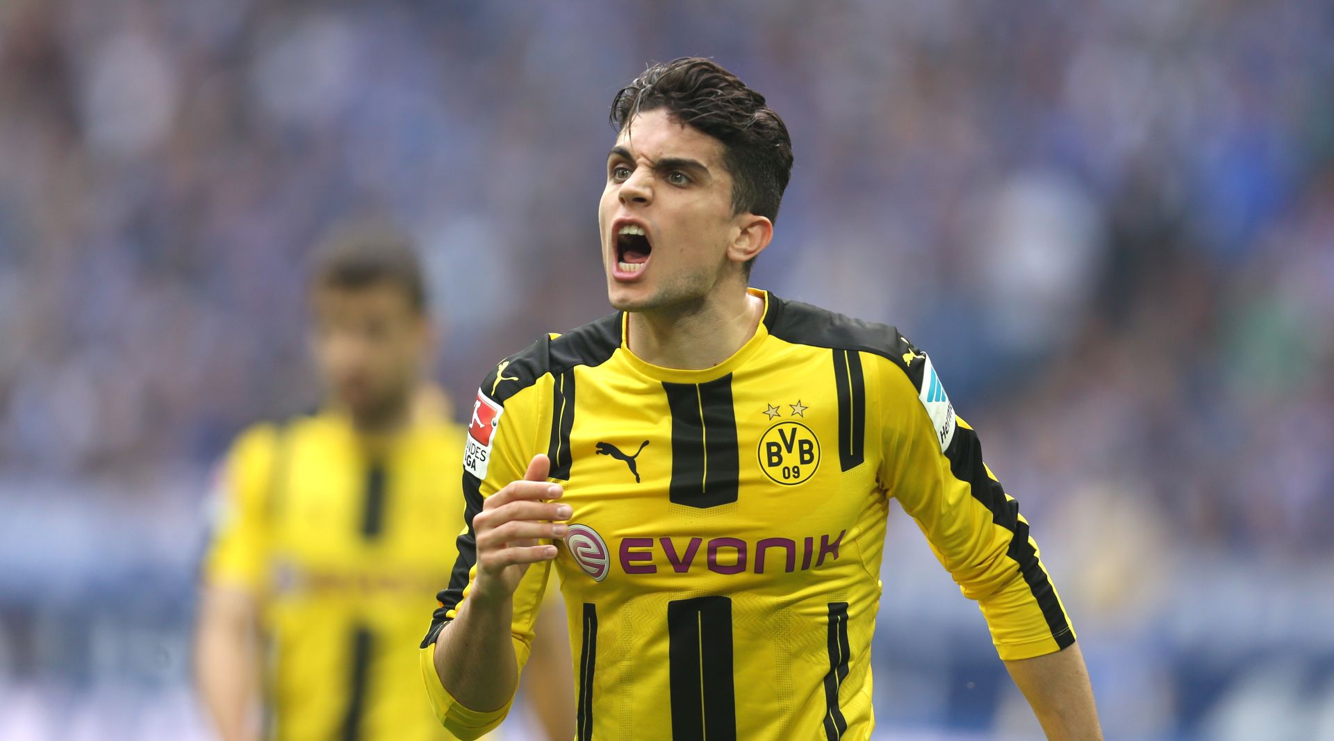 Marc Bartra from Dortmund screams at the players during the German Bundesliga soccer match between FC Schalke 04 and Borussia Dortmund in the in Veltins Arena, Gelsenkirchen, Germany, 01 April 2017.





(EMBARGO CONDITIONS - ATTENTION: Due to the accreditation guidelines, the DFL only permits the publication and utilisation of up to 15 pictures per match on the internet and in online media during the match.) Photo: Ina Fassbender/dpa