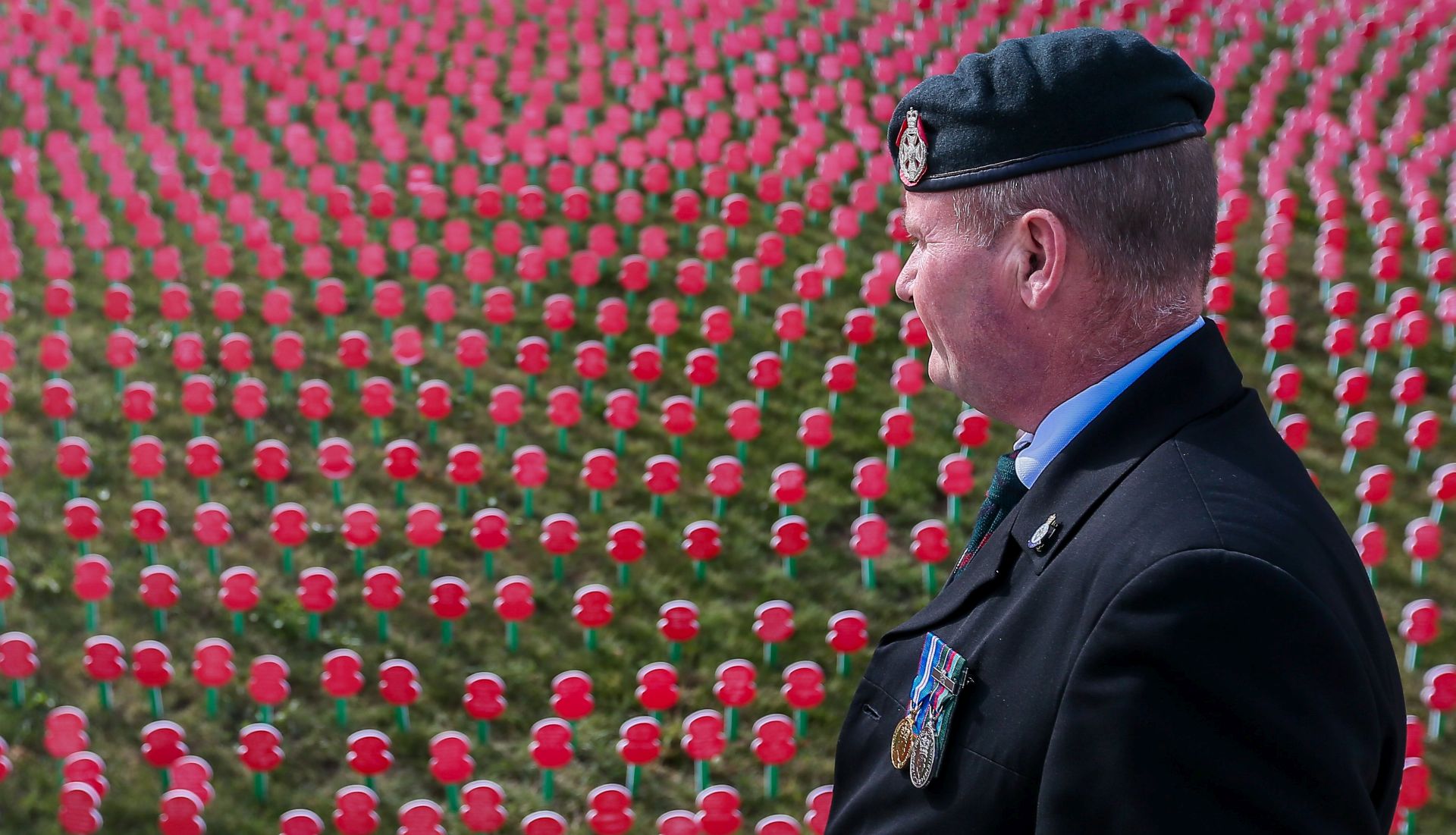 epa06118499 A man look at the memorial of poppies at the Tyne Cot Commonwealth War Graves Cemetery as part of the Centenary of Passchendaele - Third Battle of Ypres in Zonnebeke, Belgium, 31 July 2017. The Battle of Passchendaele or the Third Battle of Ypres, a campaign of the First World War, took place from July to November 1917. During the Battle of Passchendaele, an estimated 245,000 allied and 215,000 German casualties (dead, wounded or missing) fell after approximately 100 days of heavy fighting.  EPA/STEPHANIE LECOCQ