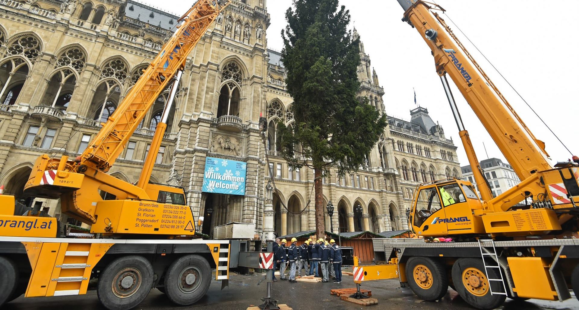 Božićno drvce u Grad Beč stiglo iz austrijske pokrajine Vorarlberg