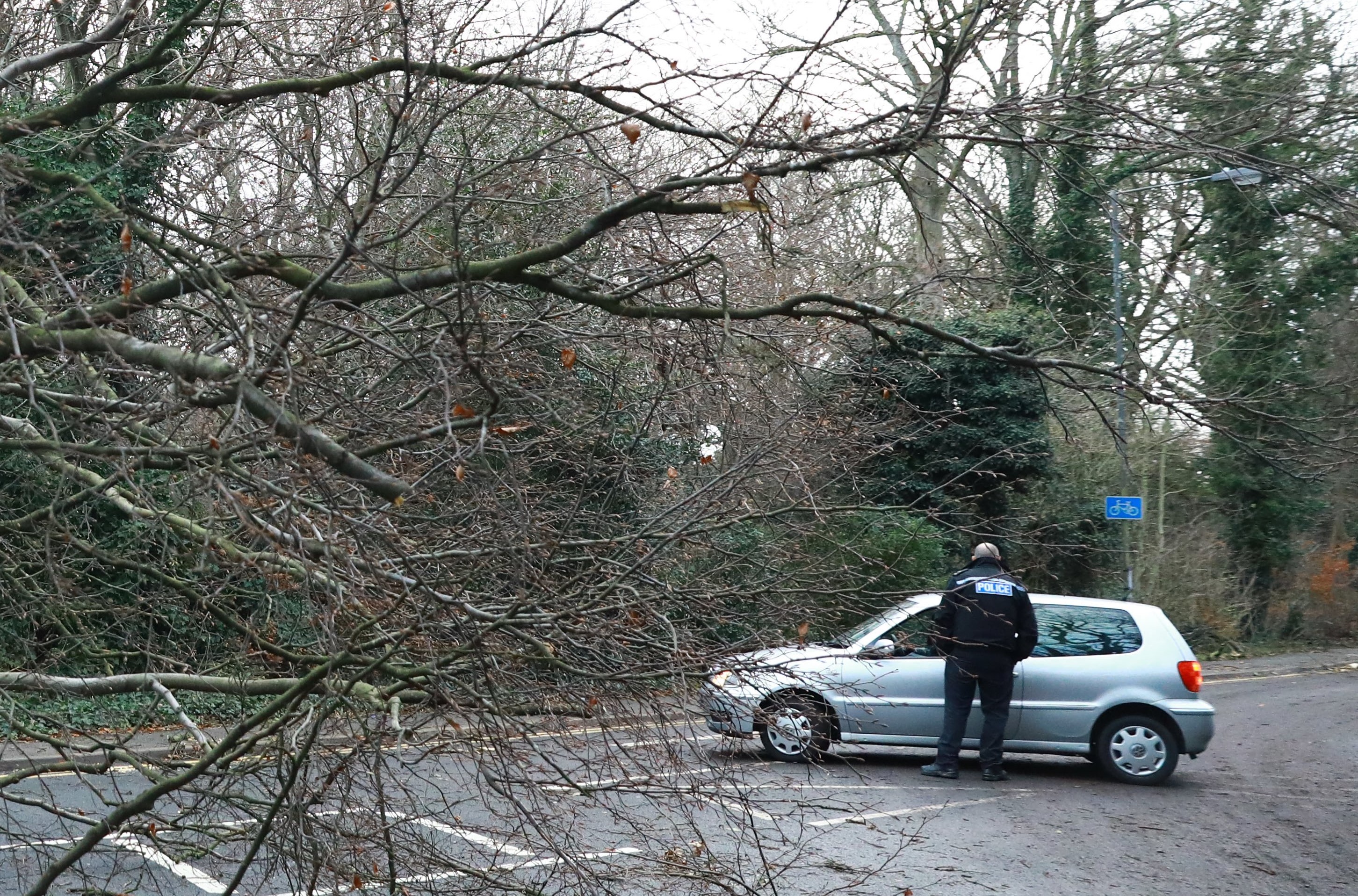 epa06414252 Police speak to a driver by a tree as it blocks a road in Harrow, north west London, Britain, 03 January 2018. Storm Eleanor hit Britain with the British Met Office recording gusts reaching 100mph (161km/h). Yellow warning were in place for Wales, England, most of Northern Ireland and parts of southern Scotland.  EPA/NEIL HALL