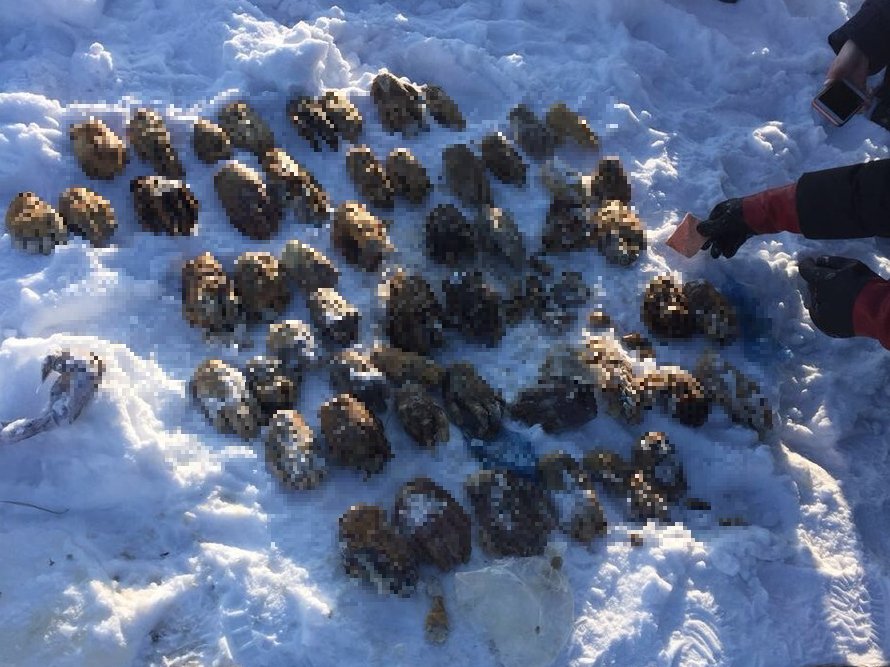 Ruski ribari pronašli vreću punu ljudskih šaka