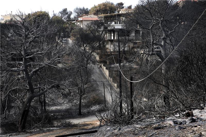 Grčka vlada sumnja da su požari podmetnuti