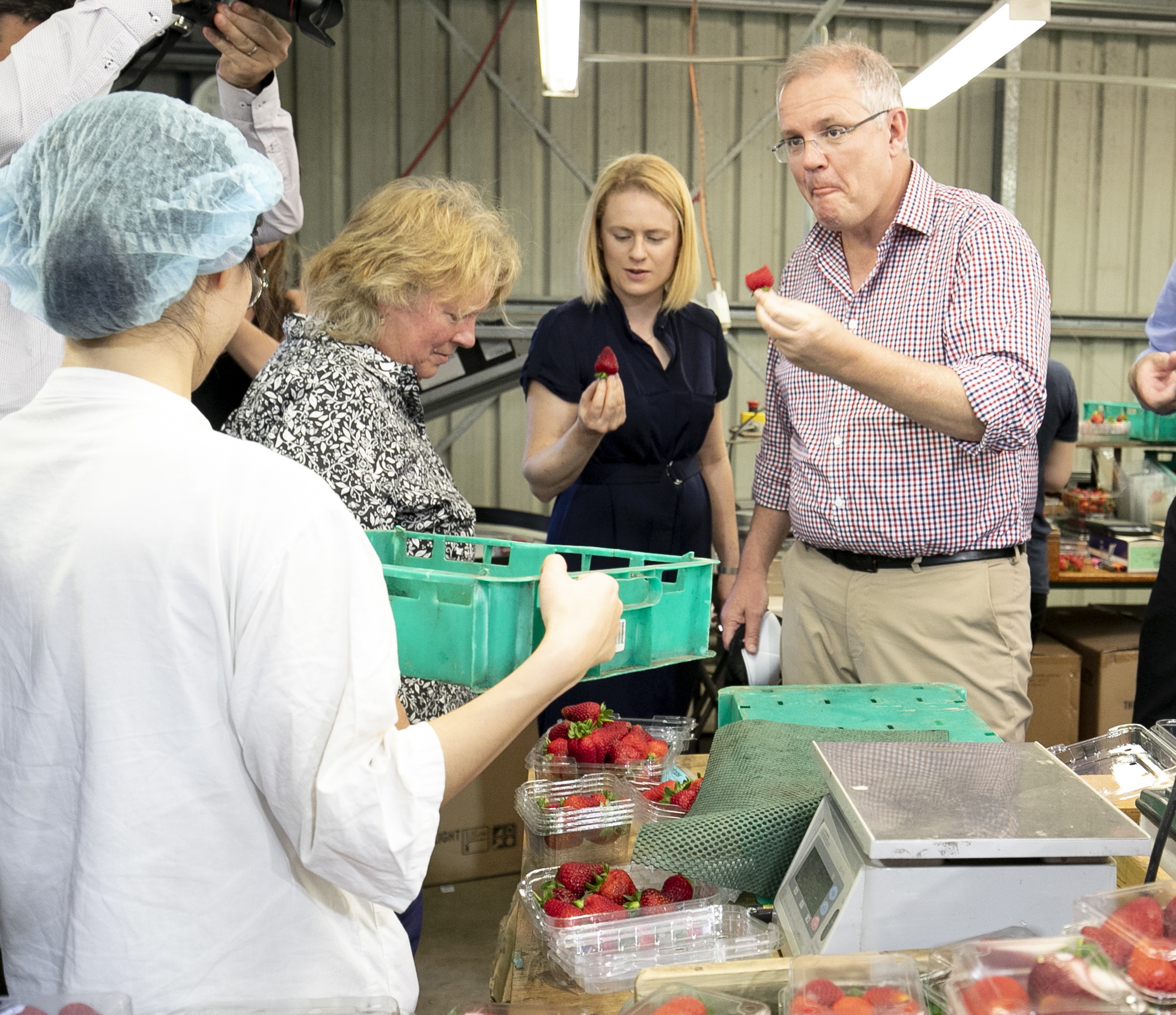 epa07142147 Australian Prime Minister Scott Morrison (R) samples fruit during a visit to a strawberry farm in Chambers Flat in southeast Queensland, Australia, 05 November 2018.  EPA/TIM MARSDEN  AUSTRALIA AND NEW ZEALAND OUT