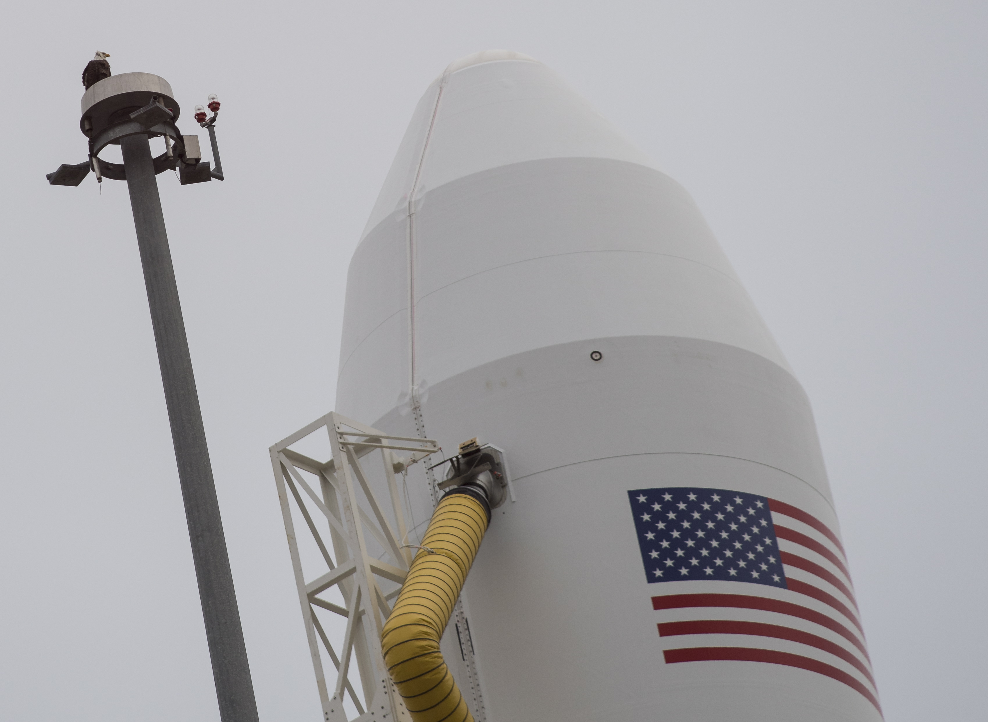 epa07166041 A handout photo made available by NASA shows a bald eagle atop a lightning tower next to the Northrop Grumman Antares rocket with, Cygnus spacecraft onboard, on Pad-0A, at NASA's Wallops Flight Facility in Wallops Island, Virginia, USA, 14 November 2018. Northrop Grumman's 10th contracted cargo resupply mission for NASA to the International Space Station will deliver about 7,400 pounds of science and research, crew supplies and vehicle hardware to the orbital laboratory and its crew. Launch is currently scheduled for 16 November.  EPA/NASA/Joel Kowsky HANDOUT MANDATORY CREDIT: (NASA/Joel Kowsky) HANDOUT EDITORIAL USE ONLY/NO SALES