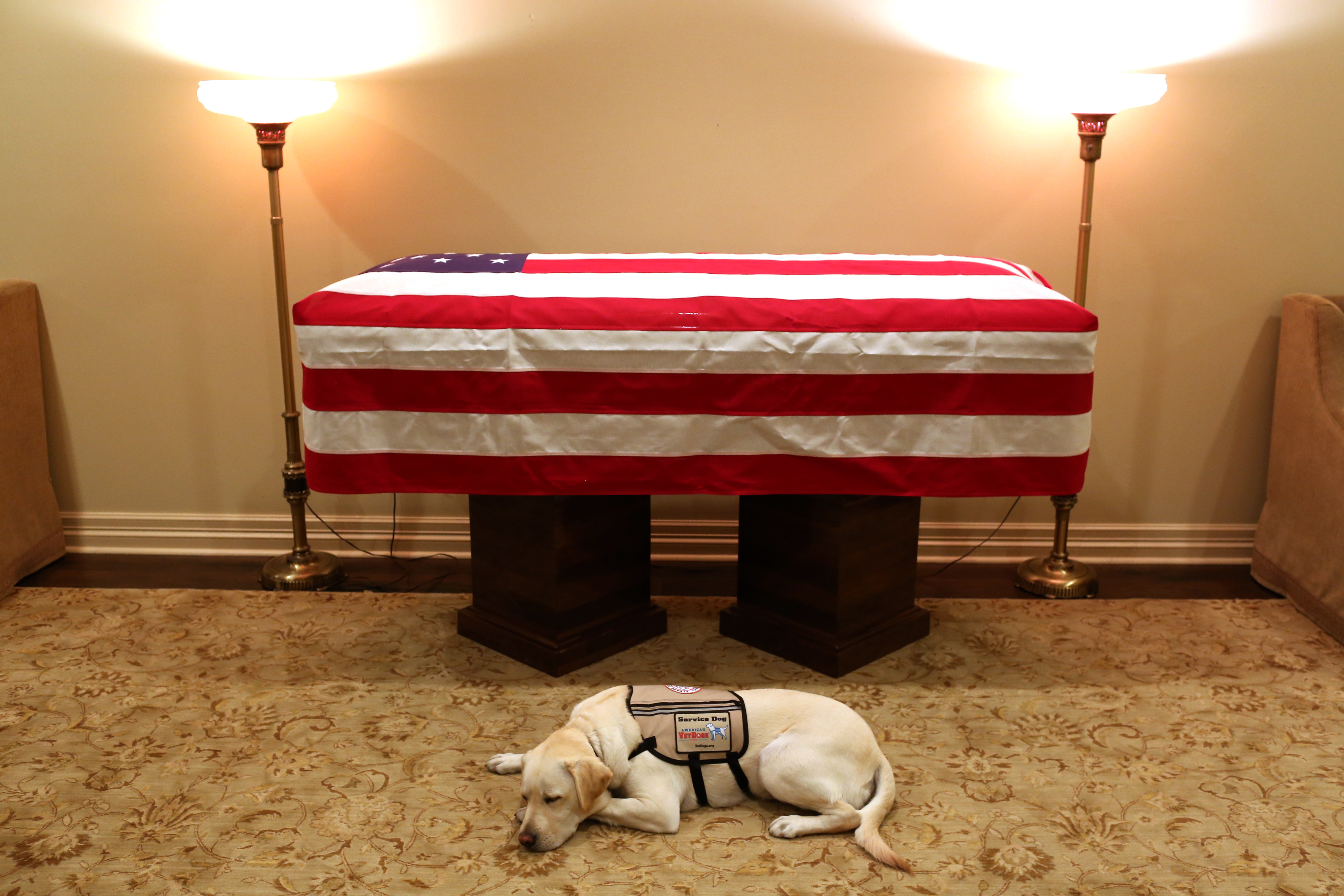 epa07205930 A handout photo dated 02 December 2018 and made available 03 December 2018 by the Office of George H. W. Bush, showing Sully, the golden labrador that worked as service dog for late US president George W.H. Bush, sleeping next to the president's coffin, Houston, Texas. Sully, that was named after US pilot Chesley 'Sully' Sullenberger that safely made an emergency landing at Hudson river in New York in 2009 and saved the lives of 155 people on the plane, was on early 2018 assigned to president Bush as as service dog.  EPA/OFFICE OF GEORGE H.W. BUSH / EVAN SISLEY / HANDOUT  HANDOUT EDITORIAL USE ONLY/NO SALES