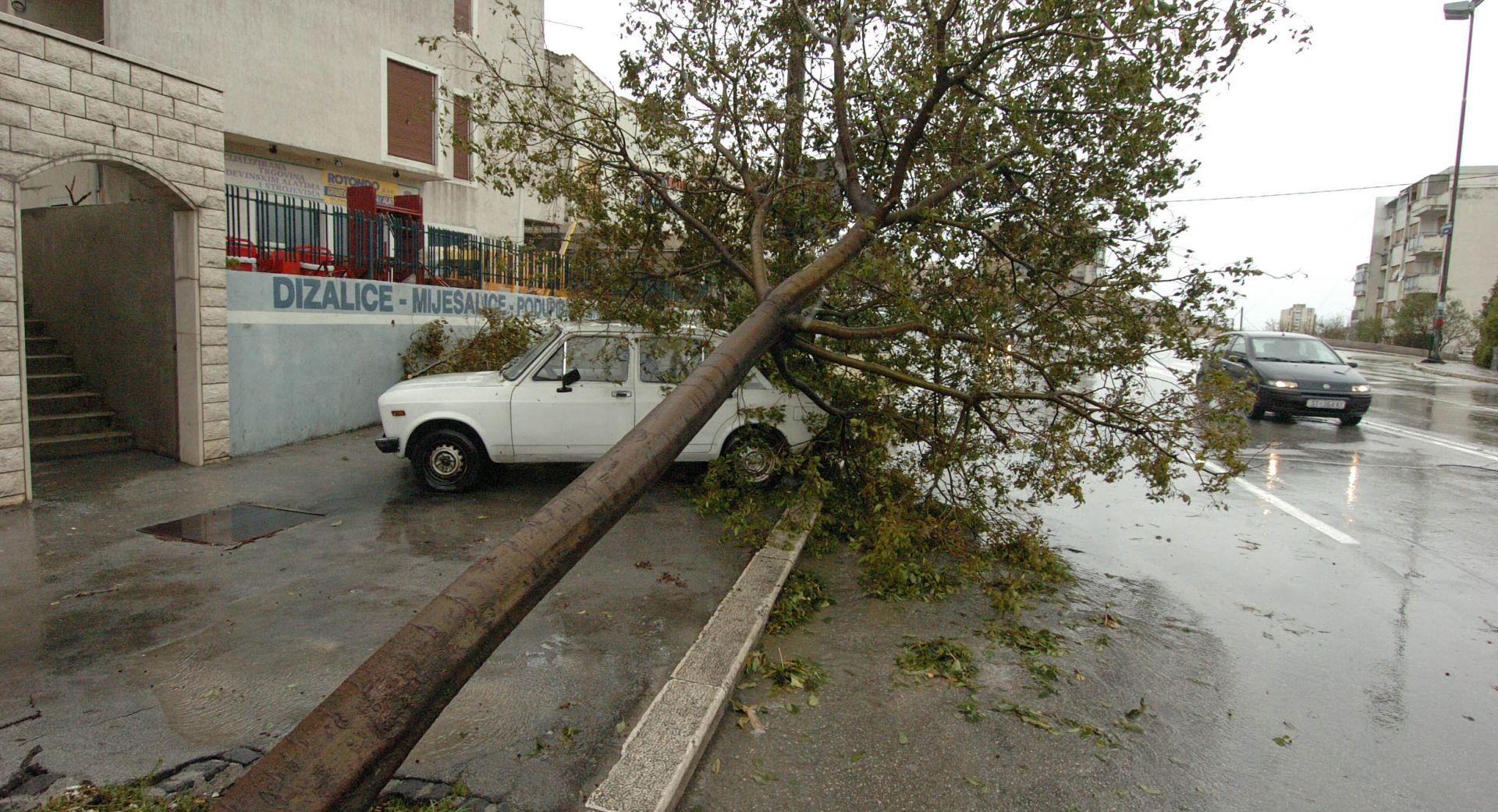Split, 14. 11. 2004 - Olujna bura koja je na mahove dostizala i 140km/h na splitskom je podruèju prouzrokovala brojne tete i prekide u prometu. Na slici stablo koje je olujna bura ièupala i prevrnula ga na automobil na jednoj od splitskih prometnica.
foto FaH