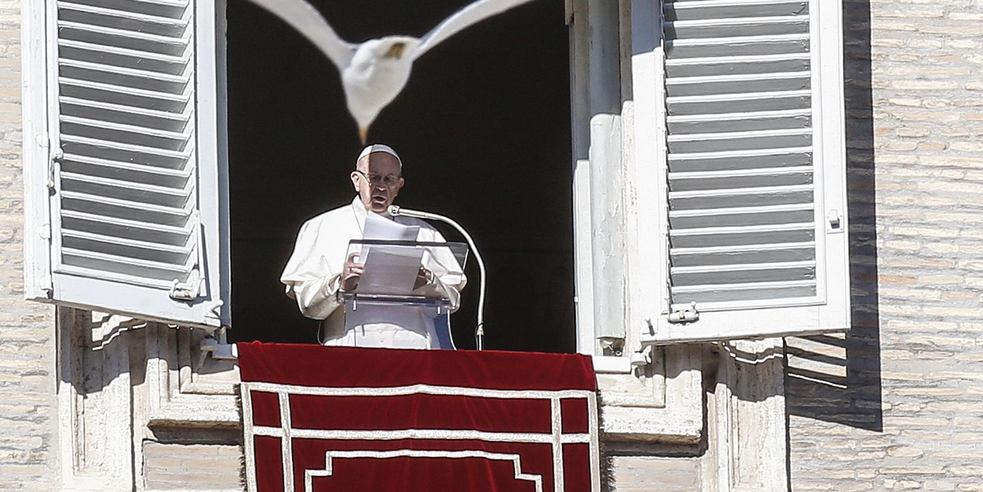 epa07256672 A bird flies up as Pope Francis celebrates the Angelus prayer from his rooms at the Vatican on the 52nd World Day of Peace, in Saint Peter's Square at the Vatican, 01 January 2019.  EPA/FABIO FRUSTACI