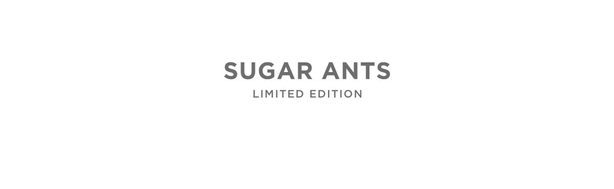 Sugar Ants