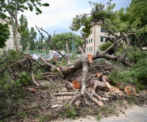 26.05.2019., Split - Nesto poslije ponoci srusila se dva stabla u Gajevoj ulici i ostetila nekoliko vozila.

Photo: Ivo Cagalj/PIXSELL