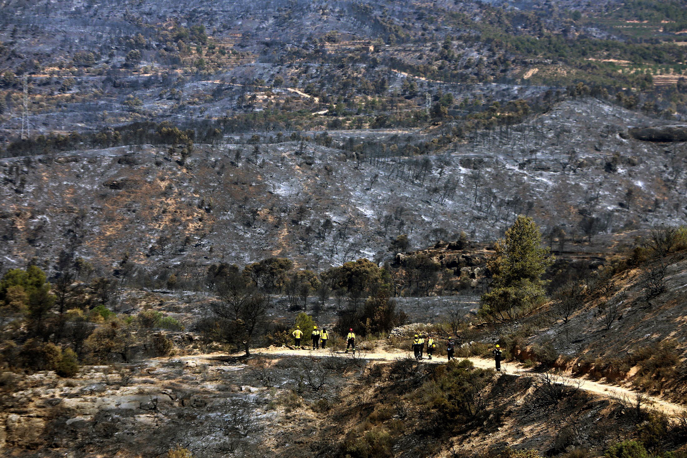 epa07682663 Firefighters inspect burnt land in Ribera d'Ebre, Tarragona, Catalonia, Spain, while the forest fire continues active in the area for four consecutive days, 29 June 2019. The forest fire, declared 26 June 2019 in Tarragona, has already burnt thousands of hectares of land reaching the province of Lleida.  EPA/JAUME SERRAT