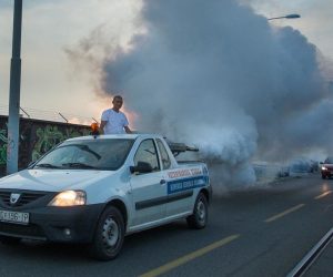 19.06.2019., Osijek - Zaprasivanje komaraca na osjeckim ulicama. Photo: Davor Javorovic/PIXSELL