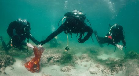 FOTO: Hrvati i Slovenci zajedno očistili veliki dio podmorja Savudrijske vale