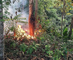epa07787036 A handout picture provided by Porto Velho's Firefighters shows a fire at the Brazilian Amazonia, in Porto Velho, capital of Rondonia, Brazil, 18 August 2019 (issued 22 August 2019). The Brazilian region of the Amazonia has registered over half of the 71,497 fires detected this year between January and August, an 83 percent increase over the the same period last year according to Brazil's National Institute for Space Research (INPE).  EPA/Porto Velho Firefighters HANDOUT  HANDOUT EDITORIAL USE ONLY/NO SALES/NO ARCHIVES