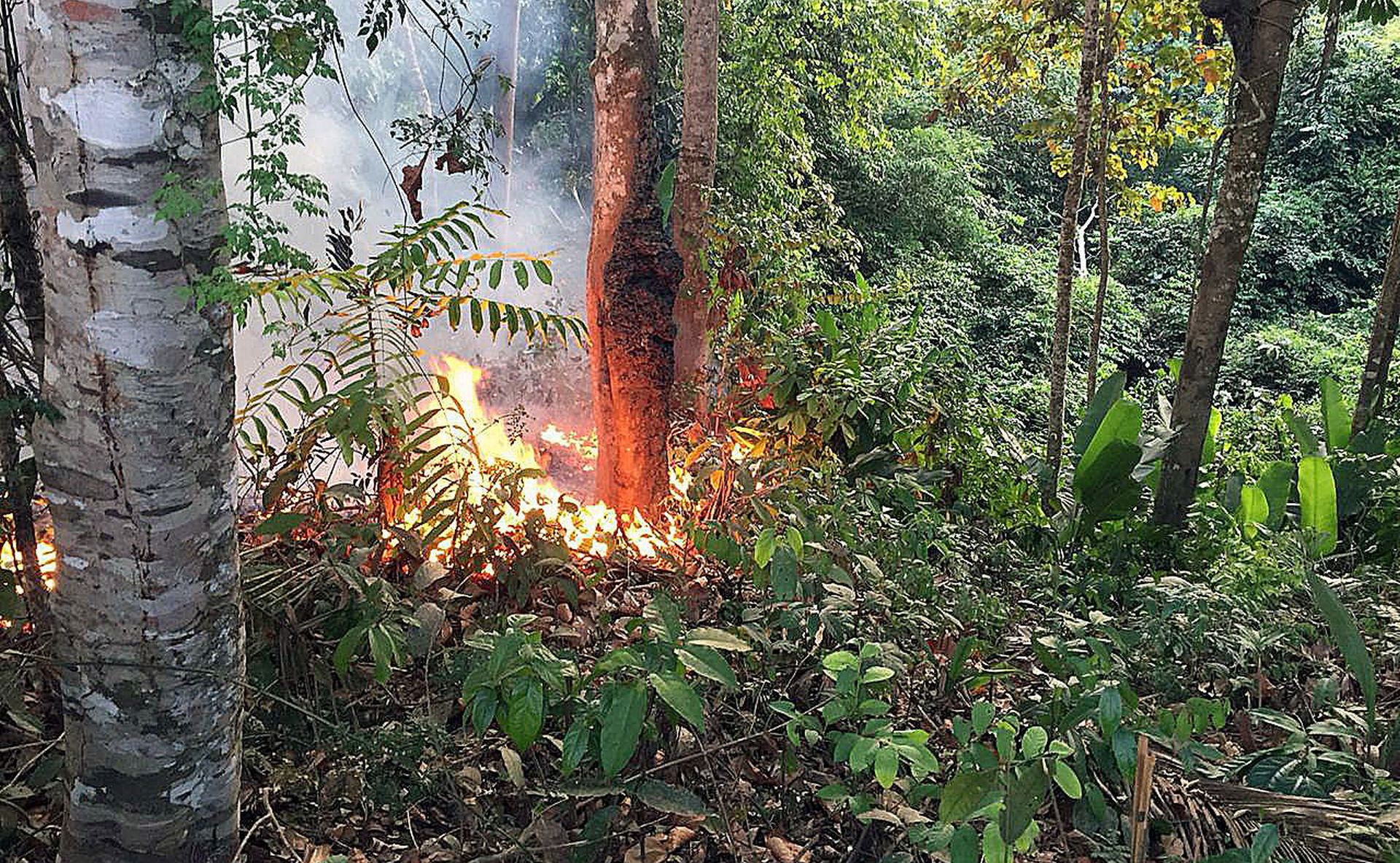 epa07787036 A handout picture provided by Porto Velho's Firefighters shows a fire at the Brazilian Amazonia, in Porto Velho, capital of Rondonia, Brazil, 18 August 2019 (issued 22 August 2019). The Brazilian region of the Amazonia has registered over half of the 71,497 fires detected this year between January and August, an 83 percent increase over the the same period last year according to Brazil's National Institute for Space Research (INPE).  EPA/Porto Velho Firefighters HANDOUT  HANDOUT EDITORIAL USE ONLY/NO SALES/NO ARCHIVES