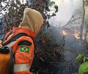 epa07787033 A handout picture provided by Porto Velho's Firefighters shows a fire at the Brazilian Amazonia, in Porto Velho, capital of Rondonia, Brazil, 18 August 2019 (issued 22 August 2019). The Brazilian region of the Amazonia has registered over half of the 71,497 fires detected this year between January and August, an 83 percent increase over the the same period last year according to Brazil's National Institute for Space Research (INPE).  EPA/Porto Velho Firefighters HANDOUT  HANDOUT EDITORIAL USE ONLY/NO SALES/NO ARCHIVES