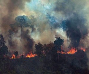 epa07792871 A handout photo made available by Greenpeace Brazil showing smoke rising from the fire at the Amazon forest in Novo Progresso in the state of Para, Brazil, 23 August 2019.  EPA/Victor Moriyama / Greenpeace Brazil HANDOUT  HANDOUT EDITORIAL USE ONLY/NO SALES/NO ARCHIVES