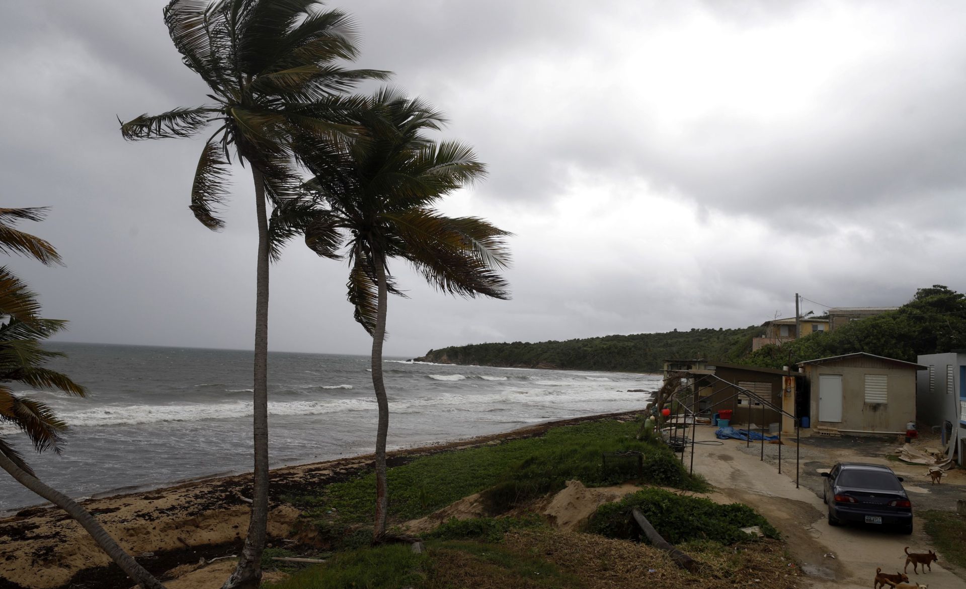 epa07800288 View of the beach in El Negro, Yabucoa municipality, Puerto Rico, 28 August 2019. Puerto Rico's Government send a message of security to the population about the arrival of Hurricane Dorian.  EPA/THAIS LLORCA