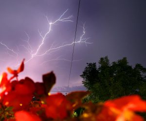 Munja parale nebo iznad Istre 22.07.2018., Festini - U noci sa subote na nedjelju, istru je pogodilo jako grmljavinsko nevrijeme.
Photo: Borna Filic/PIXSELL