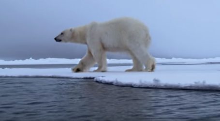 VIDEO: Arktik i dalje ugrožen visokim temperaturama