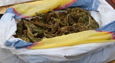 Policija u Zaprešiću zaplijenila čak 30 kilograma marihuane