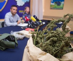 26.10.2019., Osijek - Izvanredna pres konferencija u PU osjecko baranjskoj povodom velike zapljene droge marihuana. Photo: Davor Javorovic/PIXSELL