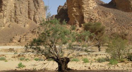 TAJNA GARAMANTA: Zaboravljena pustinjska velesila