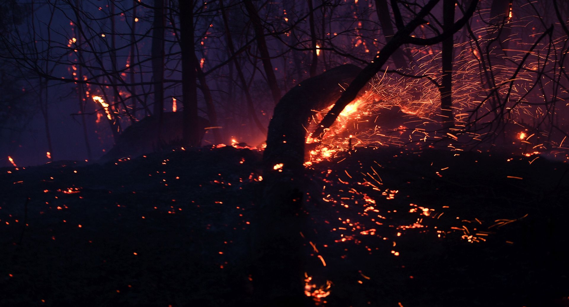 epa07981110 Embers are seen from a burning tree as a bushfire burns close to homes on Railway Parade in Woodford, New South Wales (NSW), Australia, 08 November 2019. Hot, windy conditions have seen bushfires burn out of control across parts of New South Wales, with 15 emergency warnings currently in effect in the state.  EPA/DAN HIMBRECHTS AUSTRALIA AND NEW ZEALAND OUT