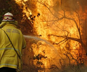 epa07989709 A firefighter works to contain a fire near Taree, New South Wales, Australia, 12 November 2019. At least 60 fires are burning across New South Wales, with a fire front of approximately 1,000 kilometers. According to media reports, 200 properties in New South Wales and Queensland have been destroyed since 08 November.  EPA/DARREN PATEMAN AUSTRALIA AND NEW ZEALAND OUT