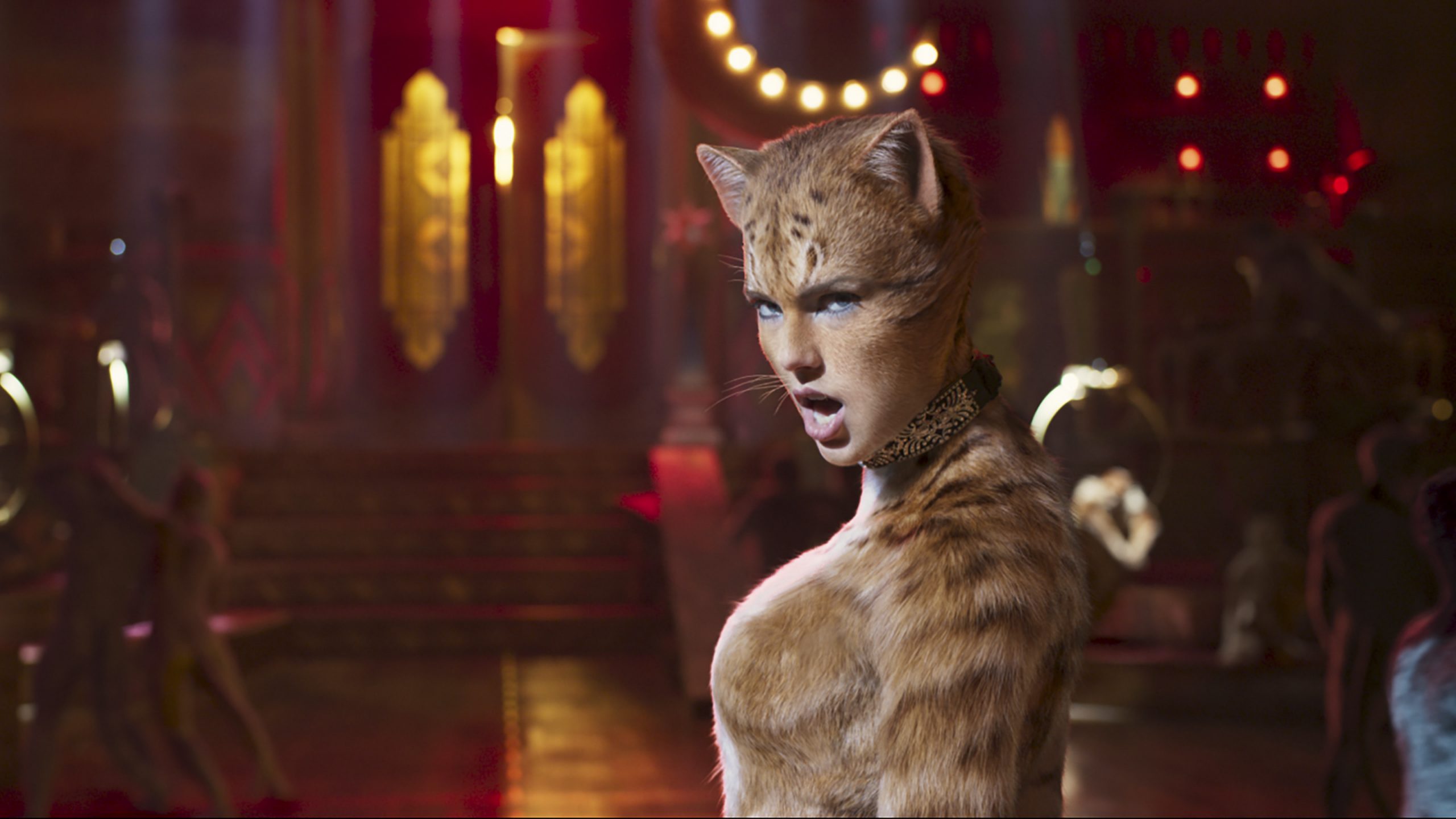 CATS
CR: Universal Pictures