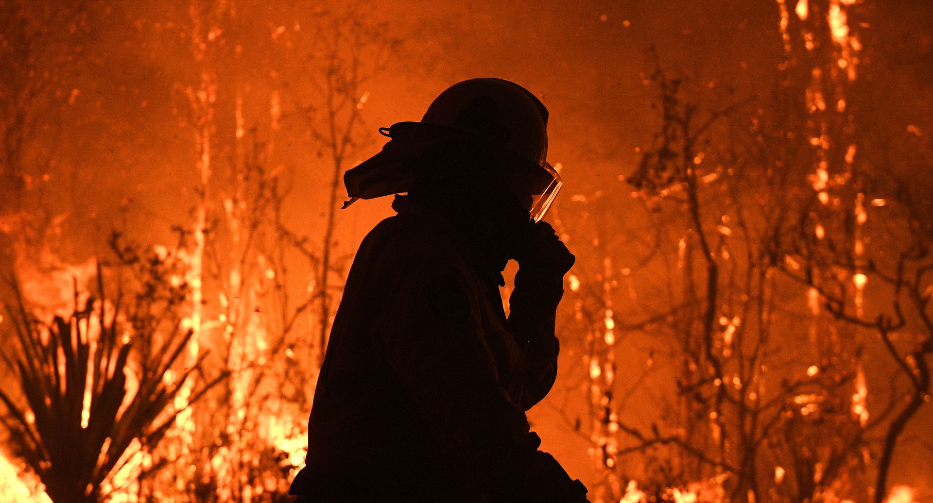 epa08046180 A New South Wales (NSW) Rural Fire Service officer reacts as he protects properties on Waratah Road and Kelynack Road as the Three Mile fire approaches Mangrove Mountain, north of Sydney, New South Wales, Australia, 05 December 2019. Emergency warnings were issued on 05 December for bushfires in New South Wales with much of the state facing record-breaking poor air quality ratings.  EPA/DAN HIMBRECHTS AUSTRALIA AND NEW ZEALAND OUT
