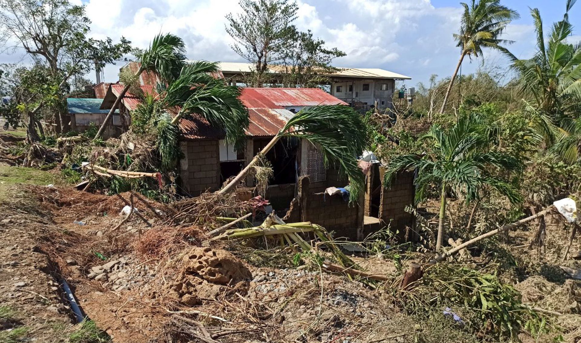 epa08090598 Toppled coconut trees rest on top of a home in the typhoon-hit town of Balasan, Ilo-Ilo province, Philippines, 26 December 2019. According to media reports, Typhoon Phanfone, locally known as Ursula, lashed the central Philippines on Christmas Day killing at least 16 people and causing damage to homes and rice fields.  EPA/LEO SOLINAP