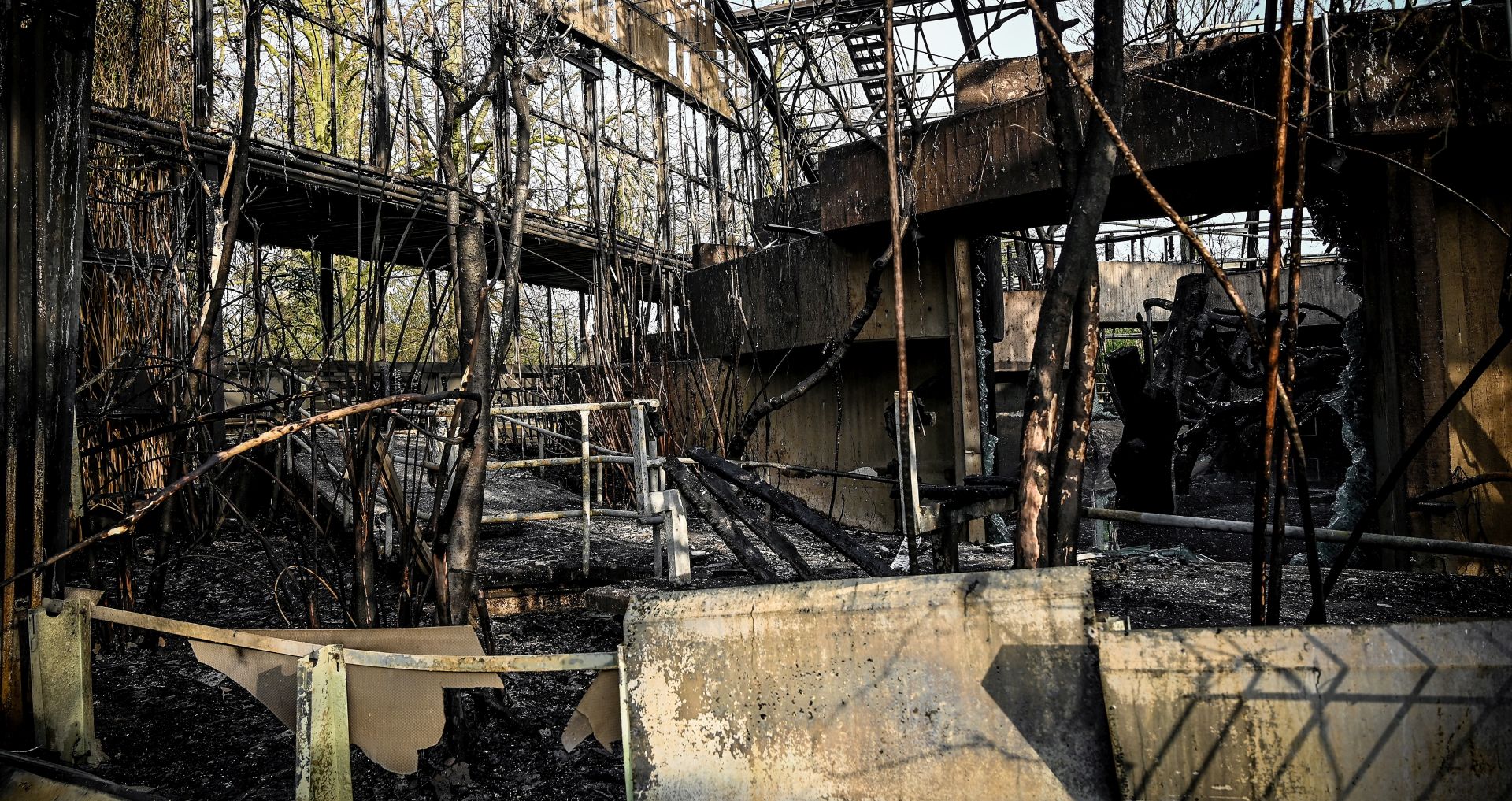 epa08097685 A general view of the completely burned out ape house of the zoo in Krefeld, Germany, 01 January 2020. All animals, in total more than 30, died during the fire at the Krefeld Zoo in the New Year's night. The dead animals include chimpanzees, orangutans and two older gorillas. The criminal police in Krefeld currently assume that so-called sky lanterns may have set the monkey house on fire on New Year's Eve. According to reports, eye-witnesses had seen sky lanterns land on the roof of the building.  EPA/SASCHA STEINBACH