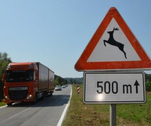 05.07.2019., Pozega - Prometni znak "divljac na cesti" na prometnici Slavonski Brod - Pozega. Photo: Ivica Galovic/PIXSELL