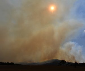 epa08180798 Smoke billows from a bushfire near the town of Tharwa, Australian Capital Territory, Australia, 31 January 2020. Authorities in the Australian Capital Territory have declared a state of emergency as fire burn near Canberra.  EPA/MICK TSIKAS  AUSTRALIA AND NEW ZEALAND OUT
