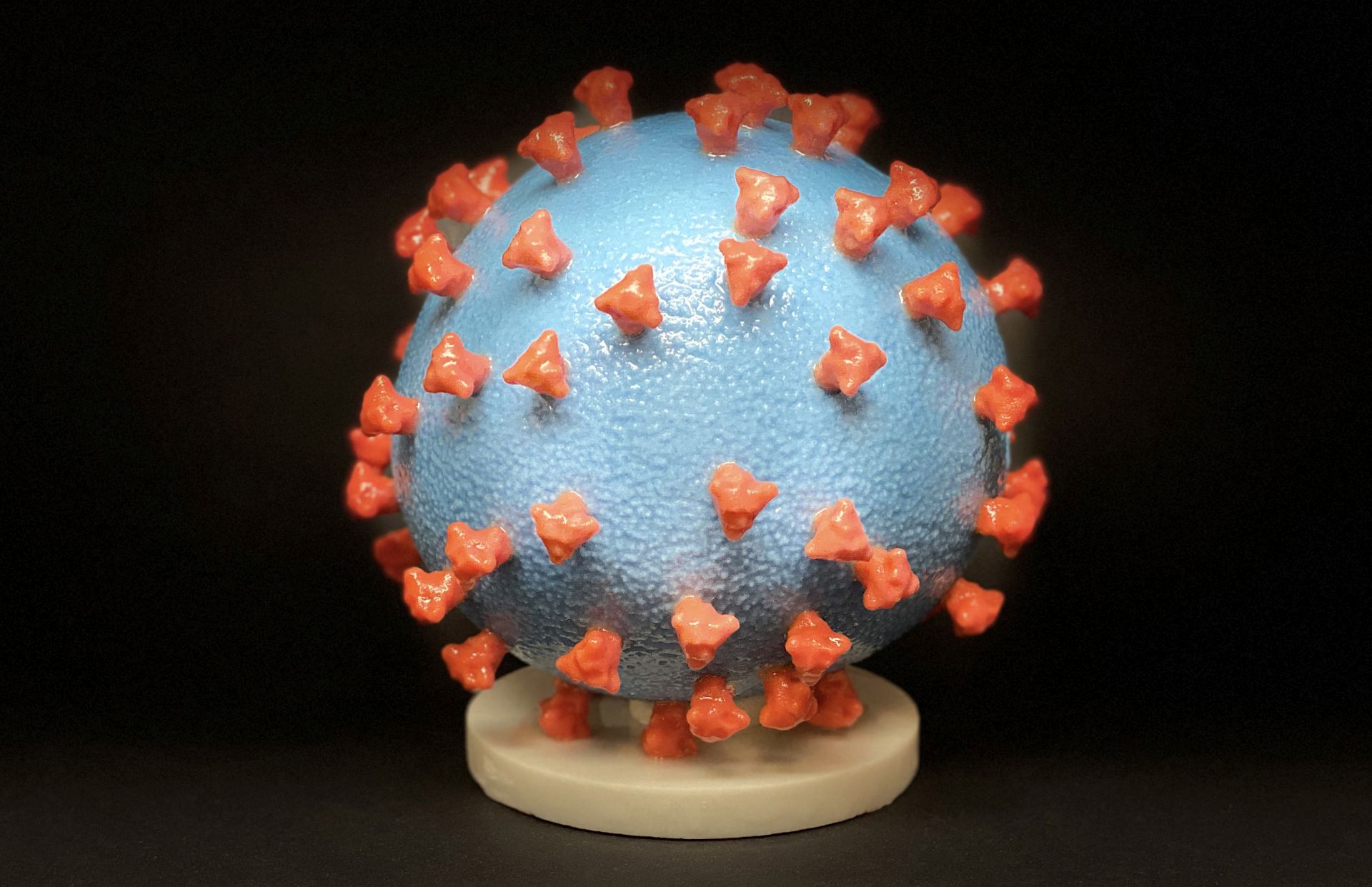 epa08262119 An undated handout picture made available by the National Institutes of Health (NIH) shows a 3D print of a SARS-CoV-2 virus particle, also known as 2019-nCoV, the virus that causes Covid-19 (issued 01 March 2020). The virus surface (blue) is covered with spike proteins (red) that enable the virus to enter and infect human cells. The spikes on the surface of novel coronaviruses give this virus family its name, corona, which is Latin for 'crown,' and most any coronavirus will have a crown-like appearance. US health officials announced on 29 February 2020 the first confirmed death from the new coronavirus in the country in Washington State. The novel coronavirus is on the verge of spreading across the world as more Covid-19 cases are emerging outside China with outbreaks in South Korea, Italy and Iran.  EPA/NATIONAL INSTITUTES OF HEALTH HANDOUT  HANDOUT EDITORIAL USE ONLY/NO SALES