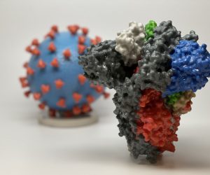 epa08262121 An undated handout picture made available by the National Institutes of Health (NIH) shows a 3D print of a spike protein on the surface of SARS-CoV-2, also known as 2019-nCoV, the virus that causes Covid-19, in front of a 3D print of a SARS-CoV-2 virus particle (issued 01 March 2020). The spike protein (foreground) enables the virus to enter and infect human cells. On the virus model, the virus surface (blue) is covered with spike proteins (red) that enable the virus to enter and infect human cells. US health officials announced on 29 February 2020 the first confirmed death from the new coronavirus in the country in Washington State. The novel coronavirus is on the verge of spreading across the world as more Covid-19 cases are emerging outside China with outbreaks in South Korea, Italy and Iran.  EPA/NATIONAL INSTITUTES OF HEALTH HANDOUT  HANDOUT EDITORIAL USE ONLY/NO SALES