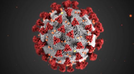 Novih 6 zaraženih, ukupno 105 oboljelih od koronavirusa u Hrvatskoj