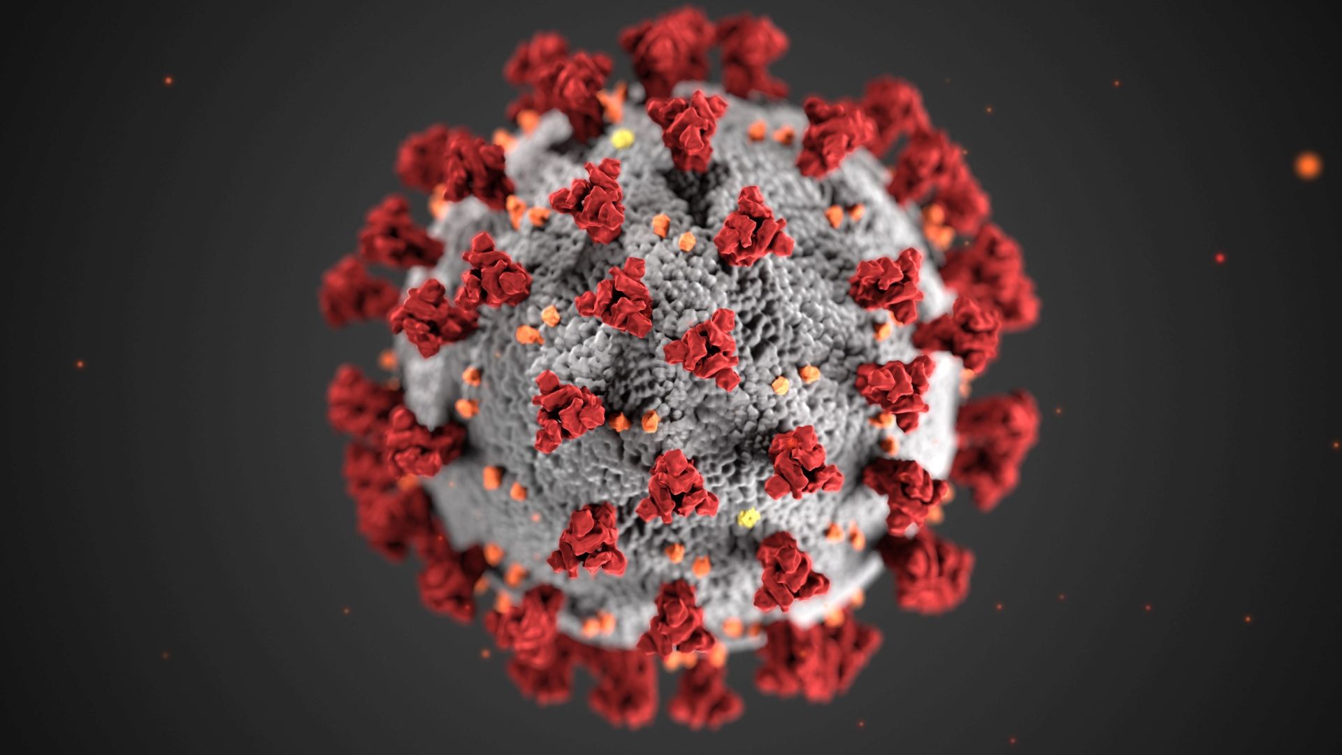 epa08295338 A handout illustration made available by the Centers for Disease Control and Prevention (CDC), shows 'ultrastructural morphology' of the coronaviruses, issued 15 March 2020. The novel coronavirus, named Severe Acute Respiratory Syndrome coronavirus 2 (SARS-CoV-2) was identified as the cause of an outbreak of respiratory illness first detected in Wuhan, China, in 2019. The illness caused by this virus has been named coronavirus disease 2019 (COVID-19).  EPA/CDC HANDOUT  HANDOUT EDITORIAL USE ONLY/NO SALES